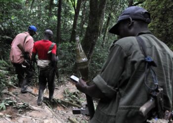 RDC : Entre paix fragile et menace d’escalade, l’appel des FARDC aux FDLR à déposer les armes